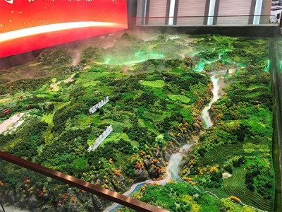 1772704186423543.jpg 1.jpg